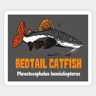 Redtail Catfish Magnet